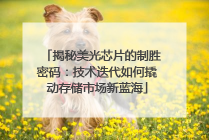 揭秘美光芯片的制胜密码：技术迭代如何撬动存储市场新蓝海