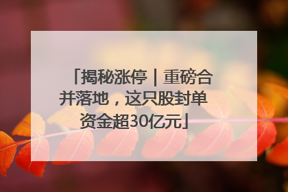 揭秘涨停｜重磅合并落地，这只股封单资金超30亿元