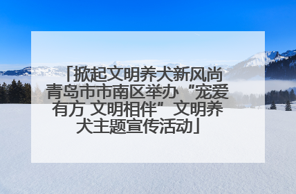 掀起文明养犬新风尚 青岛市市南区举办“宠爱有方 文明相伴”文明养犬主题宣传活动