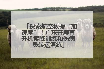 探索航空救援“加速度”！广东开展直升机索降训练和伤病员转运演练
