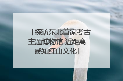 探访东北首家考古主题博物馆 近距离感知红山文化