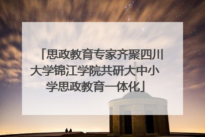 思政教育专家齐聚四川大学锦江学院共研大中小学思政教育一体化