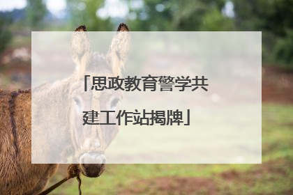思政教育警学共建工作站揭牌
