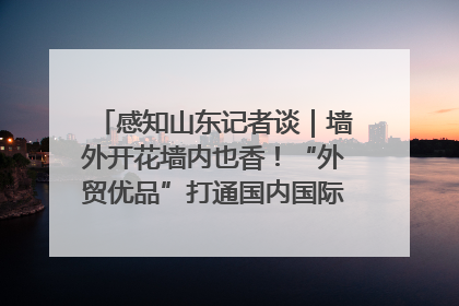 感知山东记者谈｜墙外开花墙内也香！“外贸优品”打通国内国际市场“旋转门”