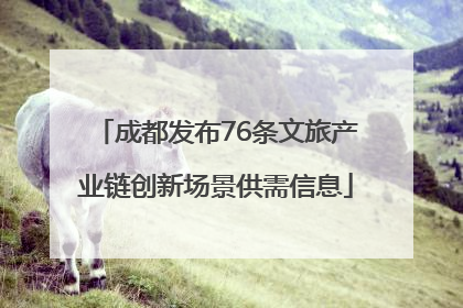 成都发布76条文旅产业链创新场景供需信息