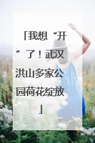 我想“开”了！武汉洪山多家公园荷花绽放