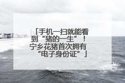 手机一扫就能看到“猪的一生”！宁乡花猪首次拥有“电子身份证”