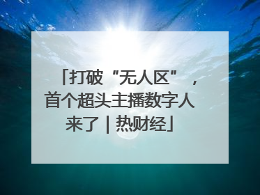 打破“无人区”，首个超头主播数字人来了｜热财经