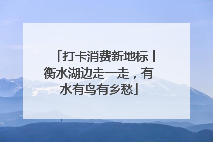打卡消费新地标丨衡水湖边走一走，有水有鸟有乡愁