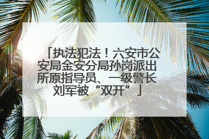 执法犯法！六安市公安局金安分局孙岗派出所原指导员、一级警长刘军被“双开”