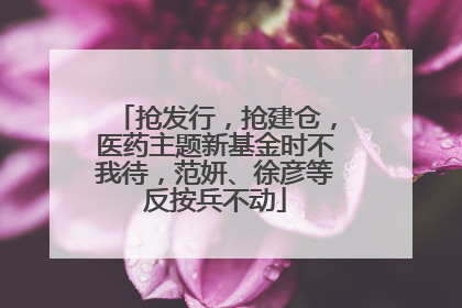 抢发行，抢建仓，医药主题新基金时不我待，范妍、徐彦等反按兵不动
