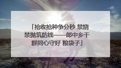 抢收抢种争分秒 禁烧禁抛筑防线——郎中乡干群同心守好 粮袋子