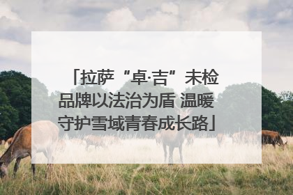 拉萨“卓·吉”未检品牌以法治为盾 温暖守护雪域青春成长路