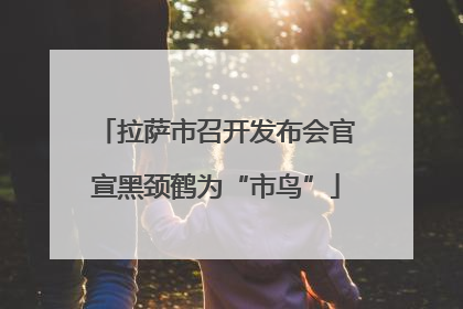 拉萨市召开发布会官宣黑颈鹤为“市鸟”