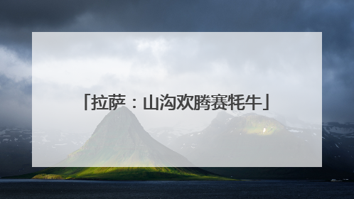 拉萨：山沟欢腾赛牦牛