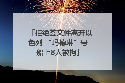拒绝签文件离开以色列 “玛德琳”号船上8人被拘