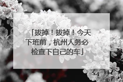 拔掉！拔掉！今天下班前，杭州人务必检查下自己的车