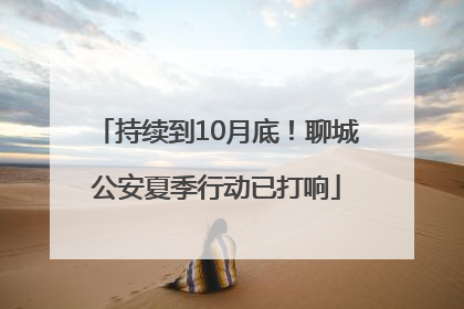 持续到10月底！聊城公安夏季行动已打响