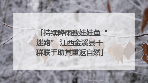 持续降雨致娃娃鱼“迷路” 江西金溪县干群联手助其重返自然