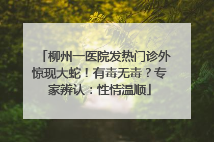 柳州一医院发热门诊外惊现大蛇！有毒无毒？专家辨认：性情温顺