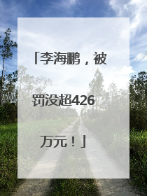 李海鹏，被罚没超426万元！
