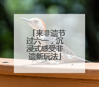 来非遗节过六一，沉浸式感受非遗新玩法