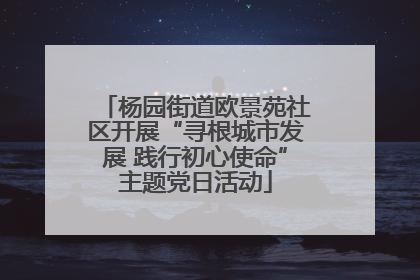 杨园街道欧景苑社区开展“寻根城市发展 践行初心使命”主题党日活动