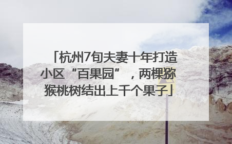 杭州7旬夫妻十年打造小区“百果园”，两棵猕猴桃树结出上千个果子