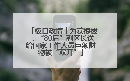极目政情丨为获提拔，“80后”副区长送给国家工作人员巨额财物被“双开”