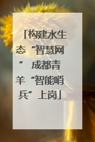 构建水生态“智慧网” 成都青羊“智能哨兵”上岗