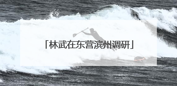 林武在东营滨州调研