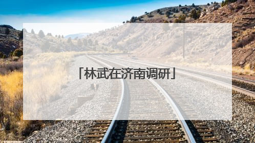 林武在济南调研