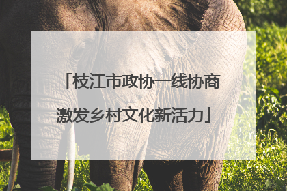 枝江市政协一线协商激发乡村文化新活力