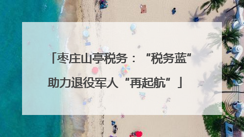 枣庄山亭税务：“税务蓝”助力退役军人“再起航”