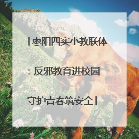 枣阳四实小教联体：反邪教育进校园 守护青春筑安全