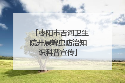 枣阳市吉河卫生院开展蜱虫防治知识科普宣传