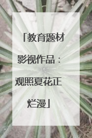 教育题材影视作品：观照夏花正烂漫