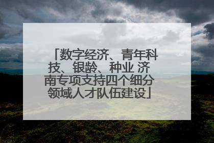 数字经济、青年科技、银龄、种业 济南专项支持四个细分领域人才队伍建设