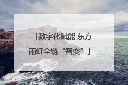 数字化赋能 东方雨虹全链“智变”