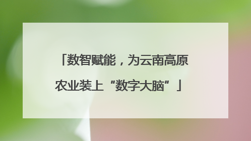 数智赋能，为云南高原农业装上“数字大脑”