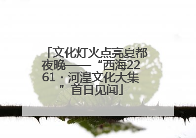 文化灯火点亮夏都夜晚——“西海2261・河湟文化大集”首日见闻
