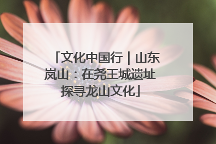 文化中国行｜山东岚山：在尧王城遗址探寻龙山文化