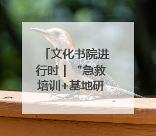 文化书院进行时｜“急救培训+基地研学”！桑家社区筑牢居民健康防线