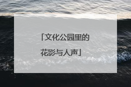 文化公园里的花影与人声