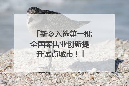 新乡入选第一批全国零售业创新提升试点城市！