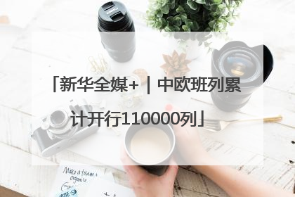 新华全媒+｜中欧班列累计开行110000列
