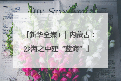 新华全媒+｜内蒙古：沙海之中建“蓝海”
