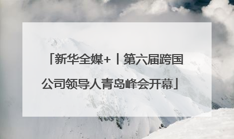 新华全媒+丨第六届跨国公司领导人青岛峰会开幕