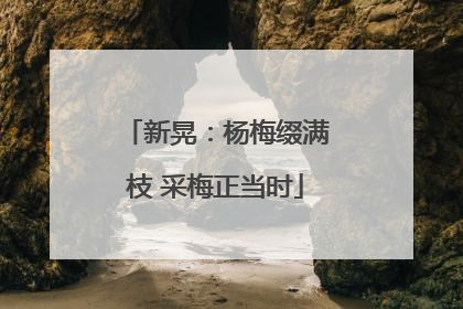新晃：杨梅缀满枝 采梅正当时