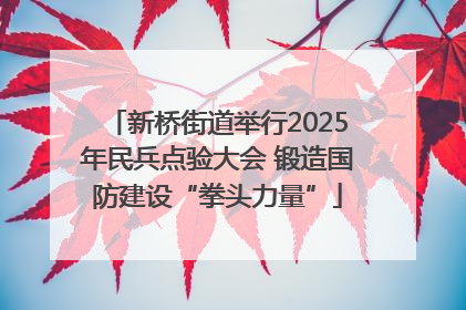 新桥街道举行2025年民兵点验大会 锻造国防建设“拳头力量”